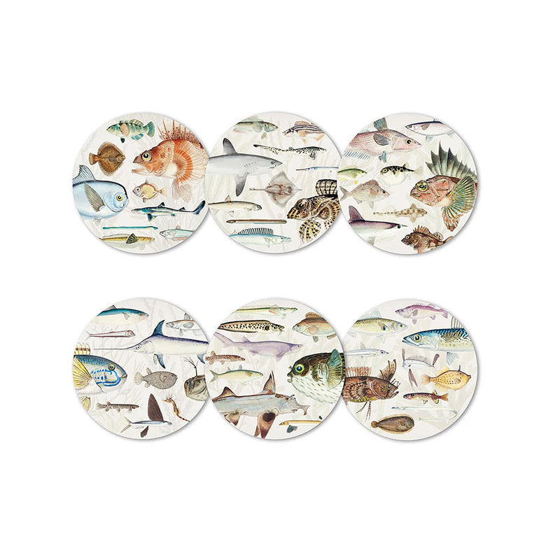 Fishes of New Zealand Coasters - Designs | New Zealand Delivery | Sabato Auckland