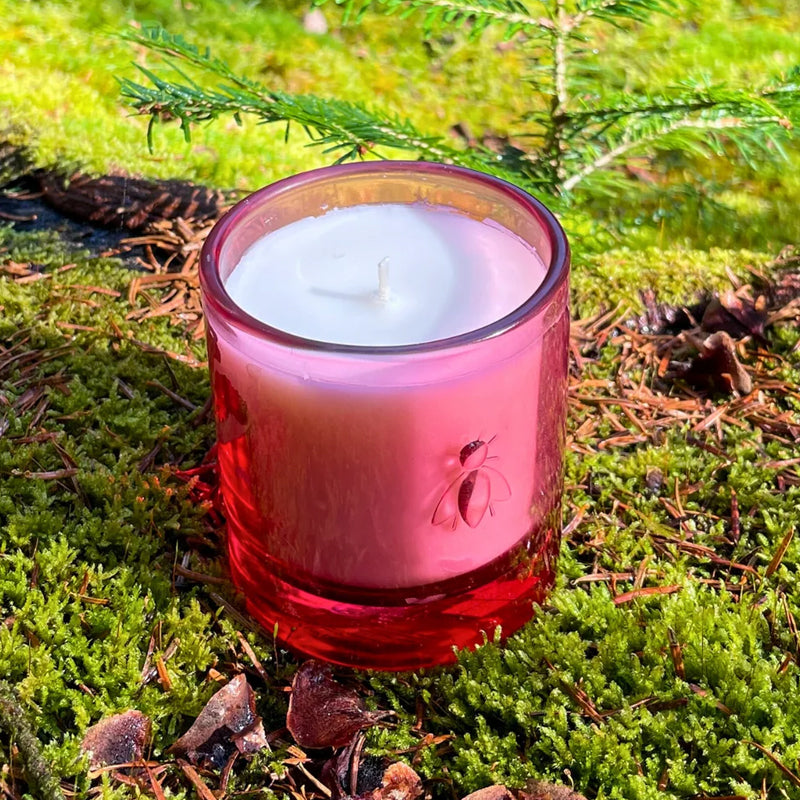 La Rochère Bee Candle ~ Cherry Blossom 200g Boxed | New Zealand Delivery | Sabato Auckland