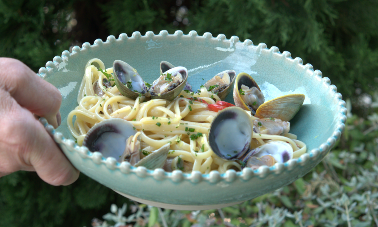 Clam Linguine