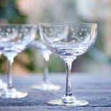 The Vintage List Crystal Champagne Saucers ~ Stars - Set of 2 | New Zealand Delivery | Sabato Auckland